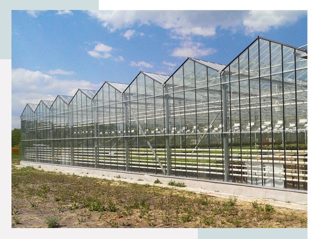 Строительство теплиц в Нижнеудинск от 610 руб. за м²